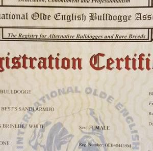 Meet your Posher, Joseph